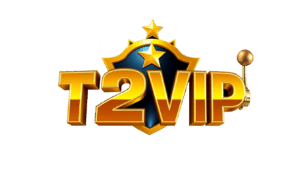 T2VIP.NET